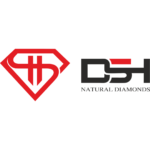 DSH logo